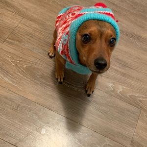 Meet your Posher, Renee